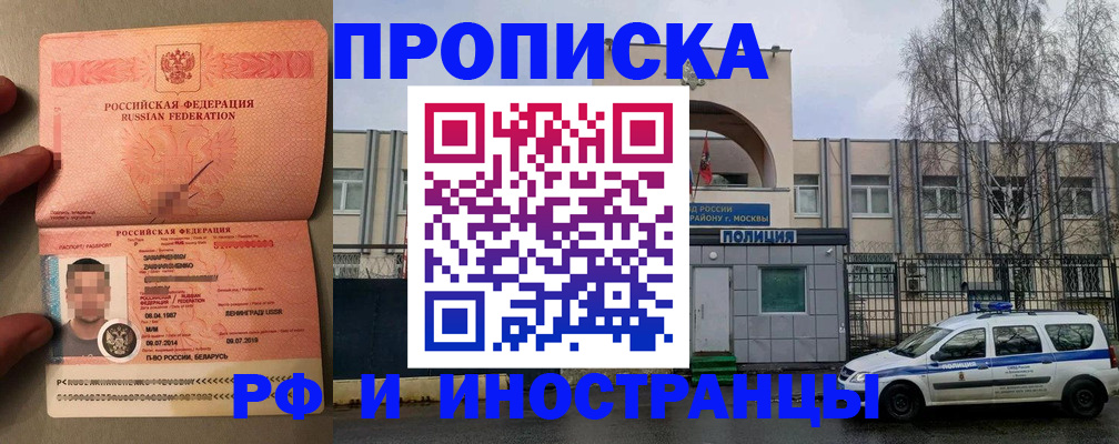 временная регистрация собственник в Камчатской области